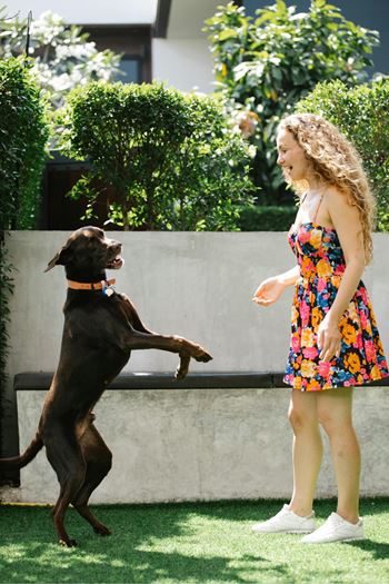 Reveal Heathrow Dog Park